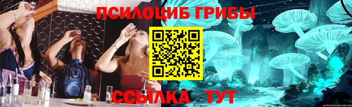 Галлюциногенные грибы мухоморы  Галлюциногенные грибы Psilocybine cubensis  Егорьевск  Вход с VPN 